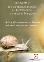 GERES Restauration - restaurant scolaire - 112017