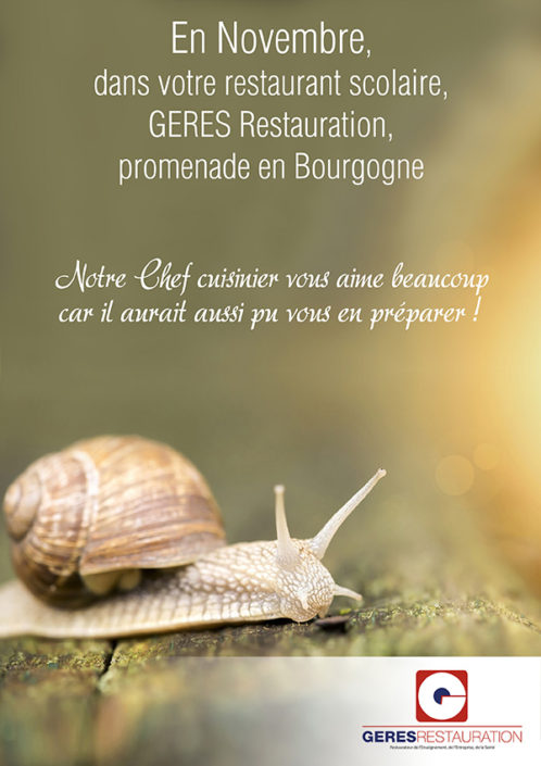 GERES Restauration - restaurant scolaire - 112017