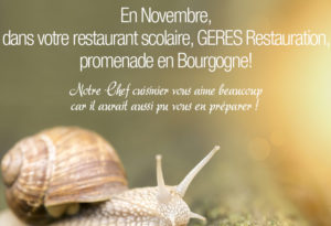 GERES Restauration - restaurant scolaire - 112017