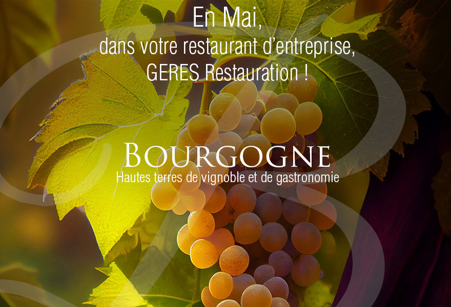 En Mai, Bourgogne dans nos restaurants d’entreprises