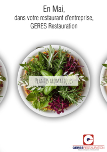 Plantes aromatiques en cuisine