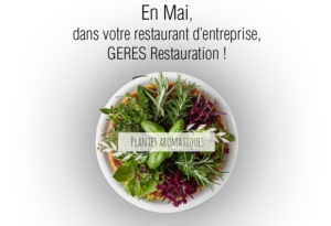 Plantes aromatiques en cuisine