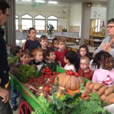 Découverte en milieu scolaire